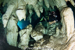 Scuba diver near entrance in Grand cenote Mexico by Javier Sandoval 